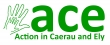 logo for ACE - Action in Caerau & Ely